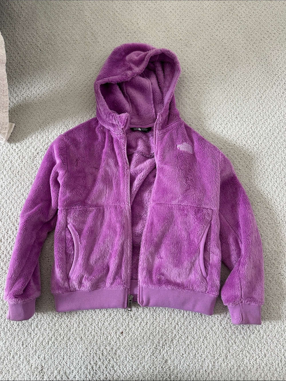 The North Face Kids Purple Plush Fleece Zip Hoodie